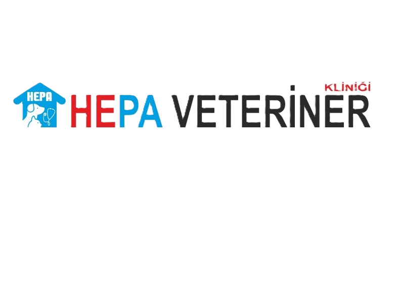 Evde Veterinerlik Hizmeti